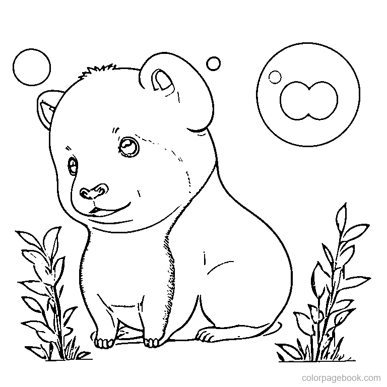 cute capybara with orange on head coloring page