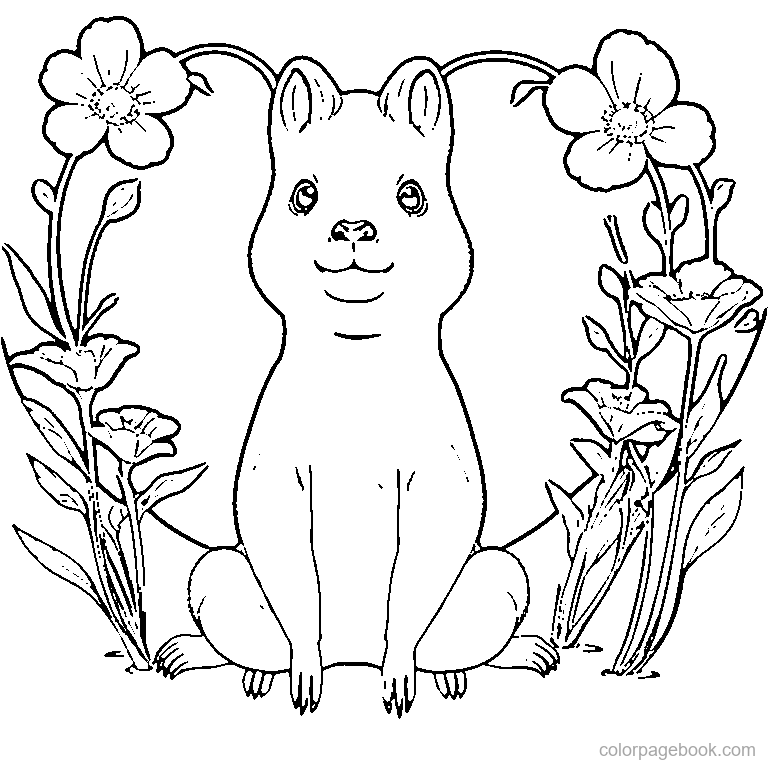 cute capybara with simple flowers coloring page